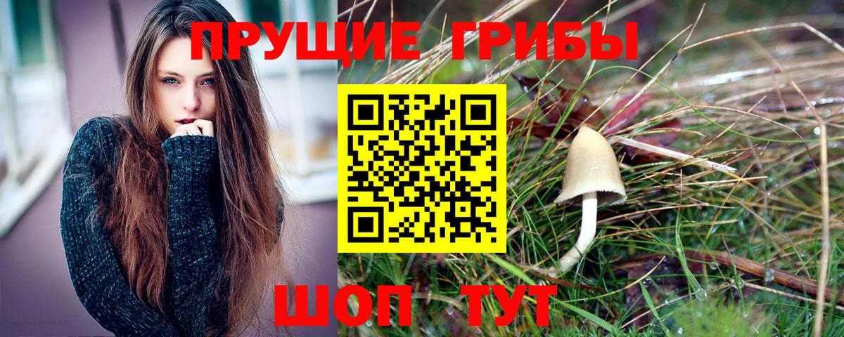 Среднеуральск  Псилоцибиновые грибы Magic Shrooms  Вход с VPN 