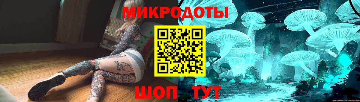 Псилоцибиновые грибы прущие грибы Среднеуральск